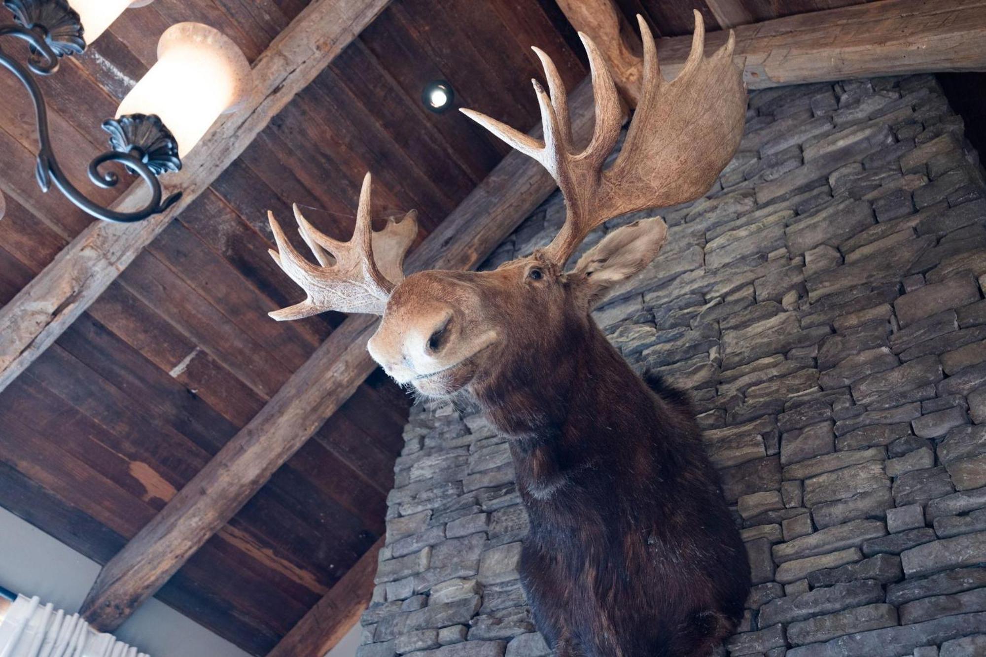Nashville - 4032 Coles Ferry Pike - Luxe Lebanon Kültér fotó
